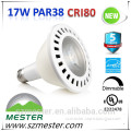 Super Air Cob E26 LED Par Lamp, LED Par Light, LED Par38, LED Par30, LED Par20